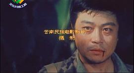綠色的網(wǎng) 圖4