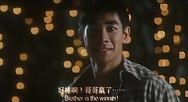 麻雀飛龍 圖2