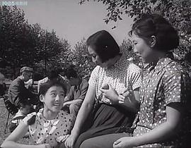 向陽花開 圖4