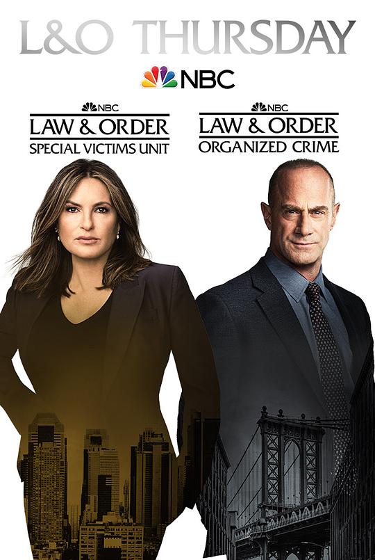 法律与秩序第17季
