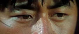虎豹龍蛇鷹 圖9
