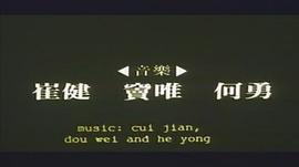 北京杂种 图4
