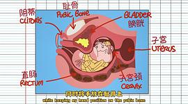 猪屁登坑爹视频 图3