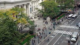 纽约公共图书馆取景 图5
