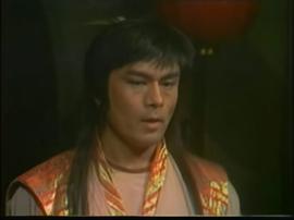 飛花逐月 圖7