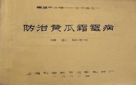 防治黃瓜霜霉病 圖1