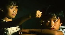 手足情 圖3