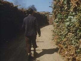 1987年译制片逃离索比堡56视频 图3