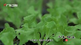 广东卫视美食纪录片 图6