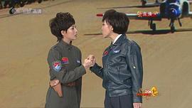 春節(jié)晚會2010 圖9