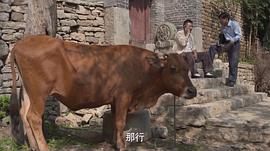 馬向陽(yáng)下鄉(xiāng)記 圖10