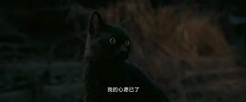 猫妖电影完整版视频免费 图9