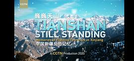巍巍天山——中國新疆反恐記憶 圖7