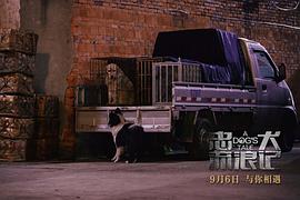 忠犬流浪狗印度电影 图3