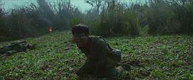 越南反击战电影完整版芳华 图4