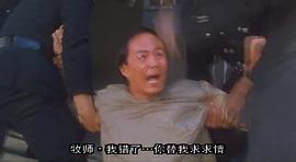 1986薛丁山征西黄日华国语 图10