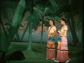 彩蝶紛飛 圖5