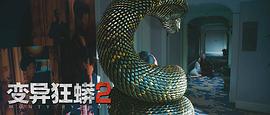 大蛇狂蟒2电影在线观看 图7
