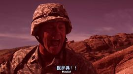 駱駝蜘蛛最怕三個(gè)東西 圖6