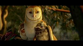 猫头鹰王国:守卫者传奇 动画片 图7