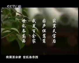 商之都 圖10