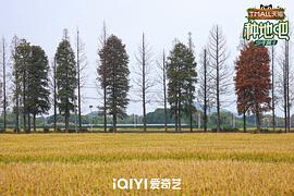 种地吧3 图9