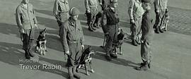 軍犬麥克斯 圖10