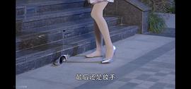 兩生花 圖8
