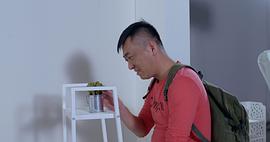 回來(lái)我的愛(ài) 圖2