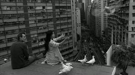 猛龍 圖2