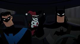 蝙蝠侠与哈莉·奎恩 图5