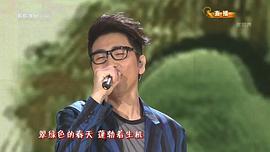 2013年中央电视台春节联欢晚会 图2