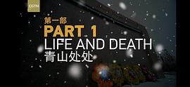 巍巍天山——中國新疆反恐記憶 圖8
