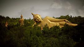 獵人們 圖2