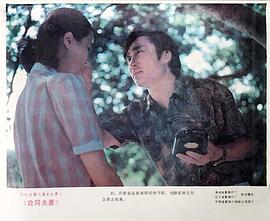 合同夫妻 圖3