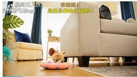小蜘蛛盧卡斯 圖1