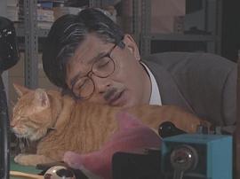 總務(wù)二科第一部 圖6