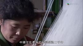 馬文與中國大熊貓 圖5