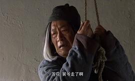 蓮花 圖6