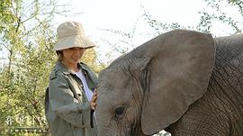 人類-動物 圖9