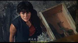 鐵血戰(zhàn)士2 圖7