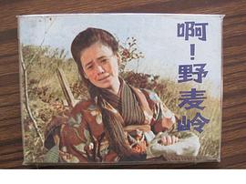 ??！野麥嶺 圖1