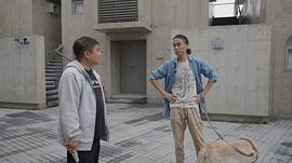 犬舍 圖2