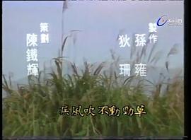 俠骨丹心 圖1