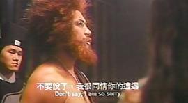 新十二生肖 圖5