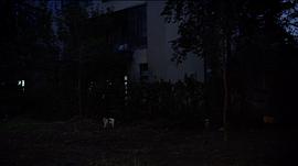 這個女人 圖1
