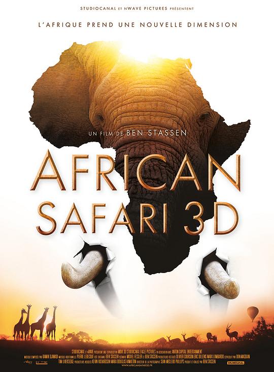 走进非洲电影