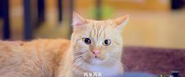 伊咪 圖2