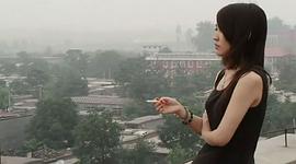 毛騙第一季全集 圖5