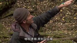 馬文與中國大熊貓 圖6